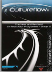 Cultureflow Workbook Stage 2