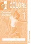Tricolore Total 1- Grammar In Action Workbooks (pack of 8)