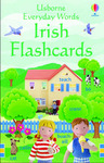 Usborne Everyday Words in Irish